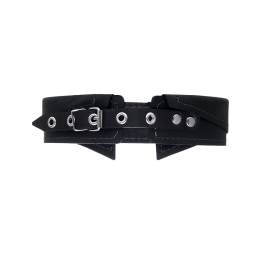 Ошейник-воротник Pecado с поводком